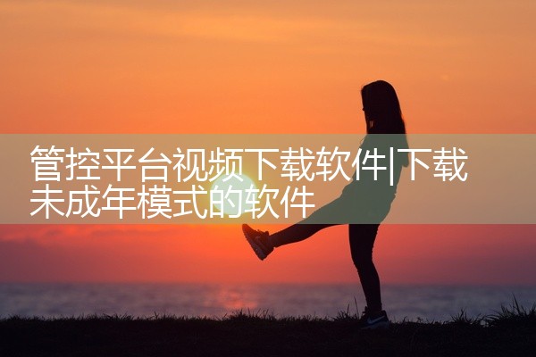 管控平台视频下载软件