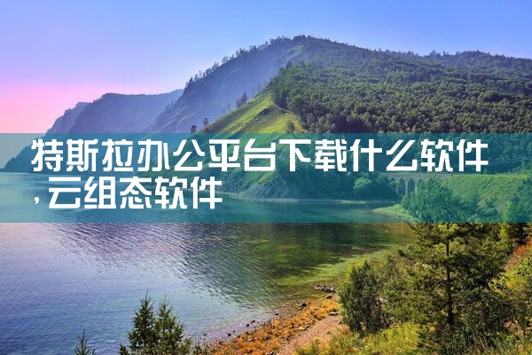 特斯拉办公平台下载什么软件
