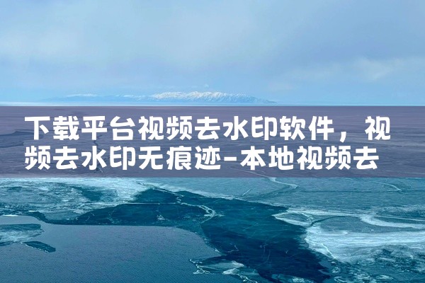 下载平台视频去水印软件