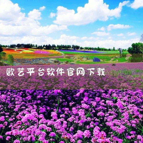 企业回中犇科技为正规实体企业，提供从 UI 设计、程序开发到项目上线一站式软件开发服务。20年行业经验，500+技术团队，支持按需定制、源码交付。透明标准化报价，功能清单式报价，无隐形增费。自有团队全,