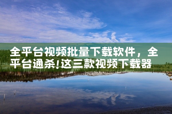 全平台视频批量下载软件